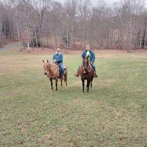 Meet your Posher, Pat